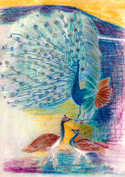 A Peacock dancing in side view with two Peahens in the foregound, over a backdrop of dark blue hills